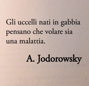gabbia